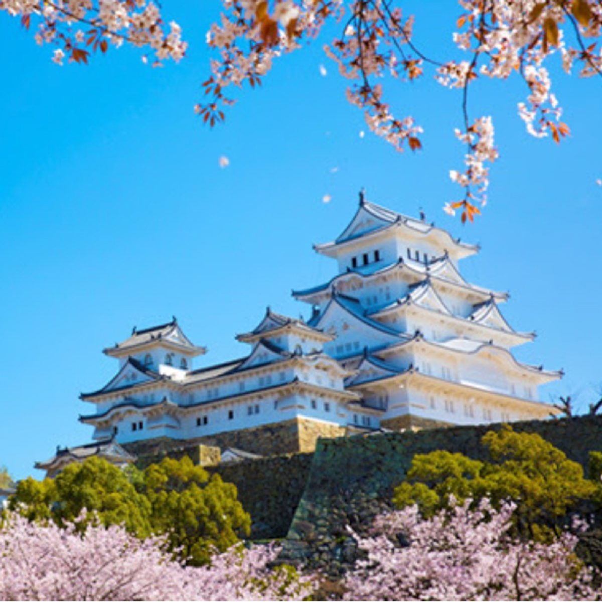 桜の季節に行ってみたい 美しい日本の名城ランキング Mi Mollet News Flash Lifestyle Mi Mollet ミモレ 明日の私へ 小さな一歩
