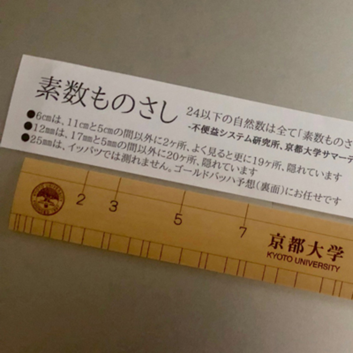 不便だからこそ素晴らしい!? 〜京大土産・素数ものさし〜 | 編集長