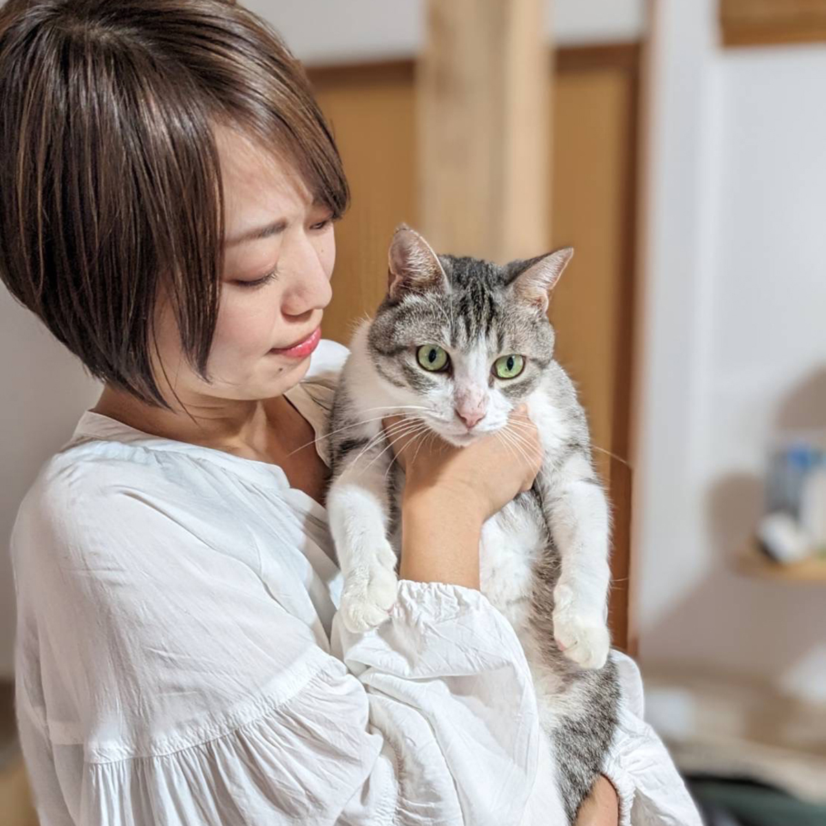 どうして飼い猫を手放してしまうの？】「動物を飼うときにまず必要